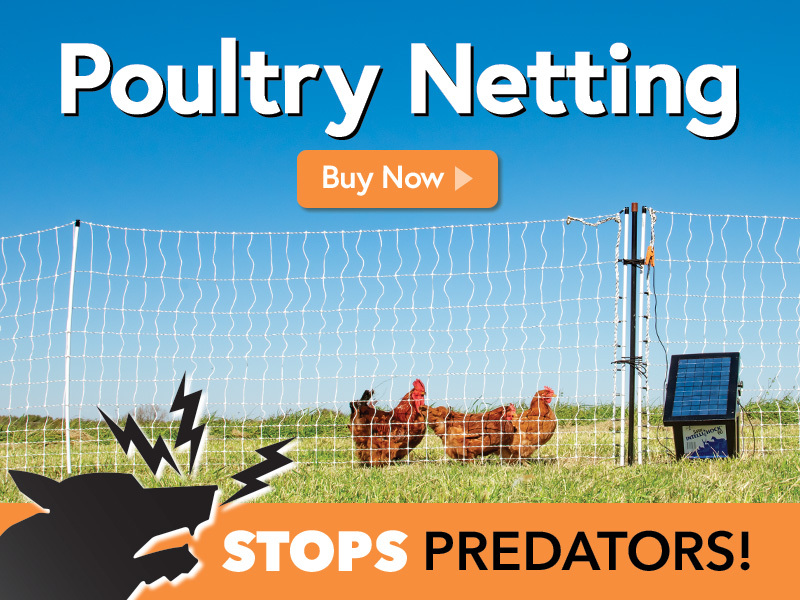 Electric Fence for Poultry and Chickens