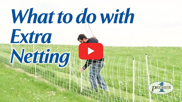 How to Manage Excess Netting