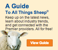 Guide to all things sheep