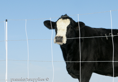 Cattle QuikFence