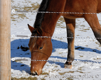 Horse Insulators