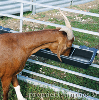 GoatTuff Feeder