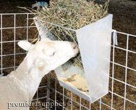 Grain and/or Hay Feeder
