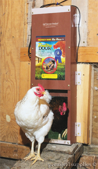 Poultry door