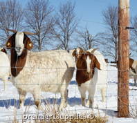 Fence Catalog