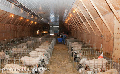 No Drop Pen Indoor-Lambing system Report 