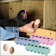Colored Egg Cartons