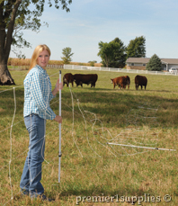 Cattle QuikFence