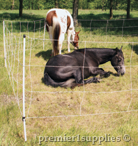 Horse QuikFence