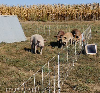 Premier's Pig QuikFence and PRS Solar Energizer. 