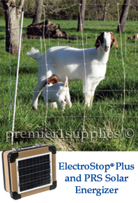 ElectroStop Plus