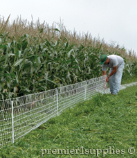 VersaNet 9/20/3 to protect sweet corn