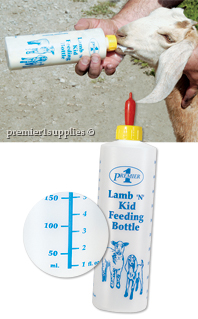 Lamb 'n' Kid Feeding Bottle