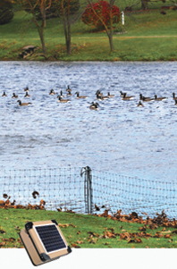 This net combination works well to contain heavy ground-based birds. 