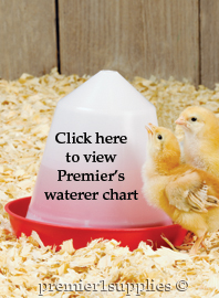 Waterer Comparison Chart