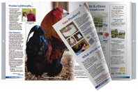 Poultry Flip-book