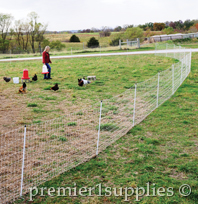 Poultry Netting