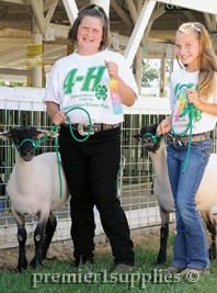 Braided Rope Halters for Sheep & Goats