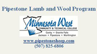 www.pipestonesheep.com