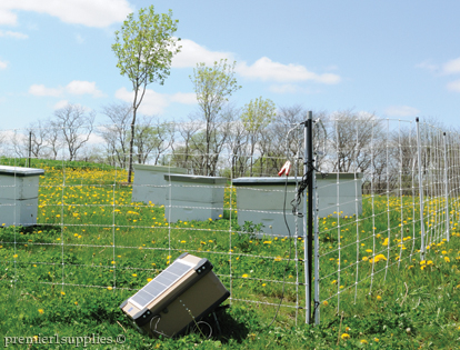 Protecting Bee Hives with fence