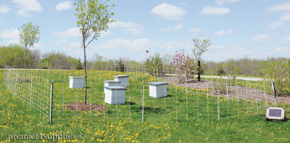 Protecting Hives with fences