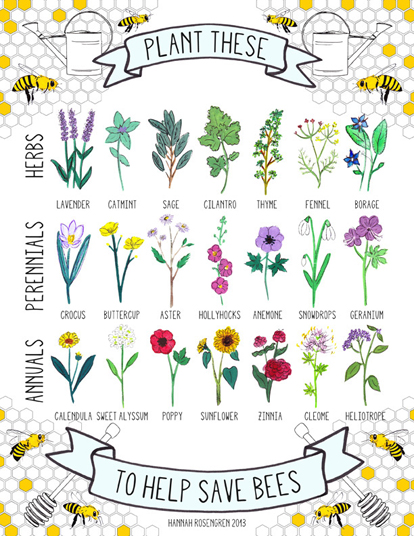 Help save bees