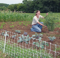 Netting Video