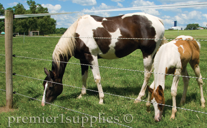 FARMGARD 48 IN. X 100 FT. HORSE FENCE WITH GALVANIZED