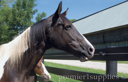 Horse Fencing