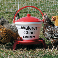 Poultry Feeders