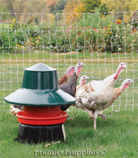 Poultry Feeders