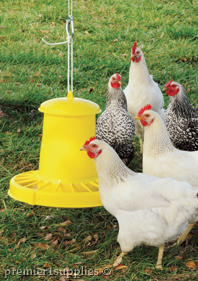 Poultry Feeders