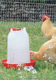 Poultry Feeders