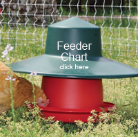 Poultry Feeders