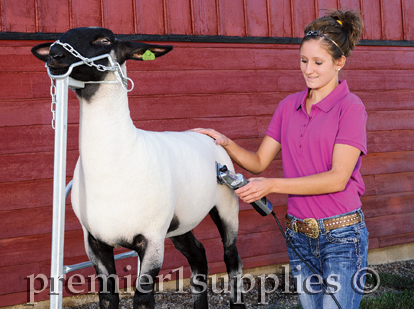 Clippers and Shearers