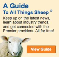 Link to sheep guide