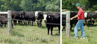 Spring gates and Rope and Braid Gates