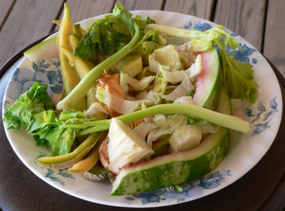 Plate of Scrap Food