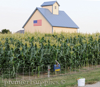 Cornfield with RacoonNet