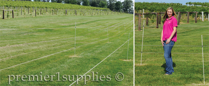 vineyard guarded by Premier 3-D anti-deer fence