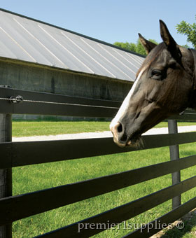 Horse with guard conductors