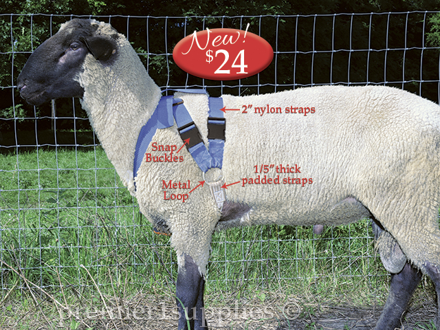 Marking harness for goats