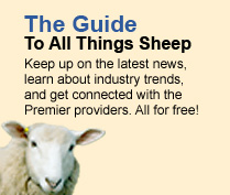 The guide to all things sheep