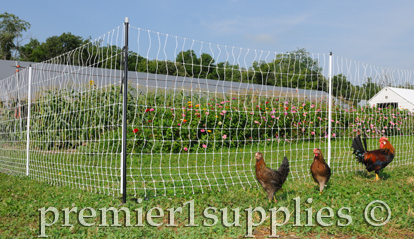 Premier1supplies Com Try Premier S Garden And Poultry Newsletter