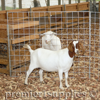 Wire panels used as pen dividers