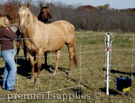 Energizers working on a horse fence