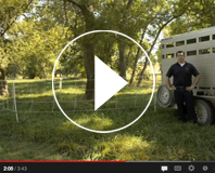 Video Button for setting up a horse paddock with quickfence