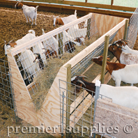 Goat feeding out of a Home built feeder