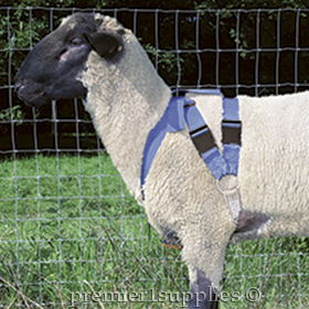 Deluxe Marking Harness