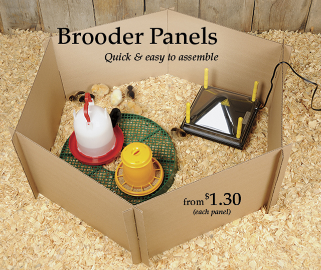 Brooder Panels